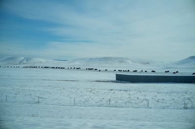 Scenic view of sea against sky during winter