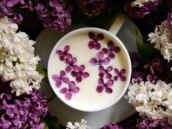 High angle view of pink roses on table