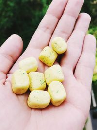 Close-up of hand holding eggs