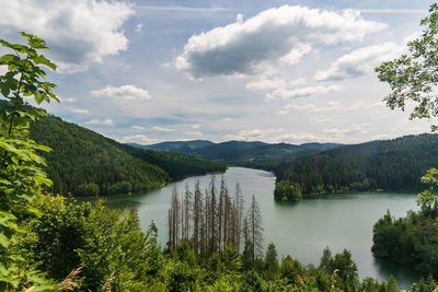 Scenic view of lake by trees against sky