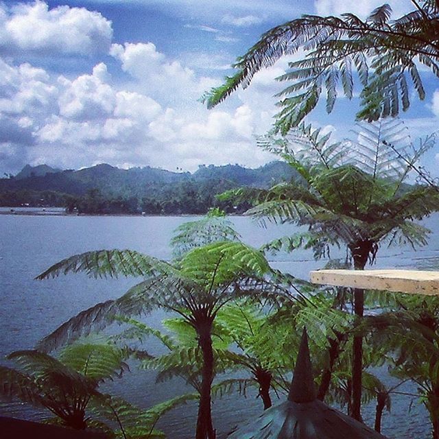 water, sky, tranquil scene, tranquility, tree, mountain, lake, scenics, beauty in nature, cloud - sky, nature, cloud, palm tree, mountain range, cloudy, idyllic, growth, calm, sea, reflection