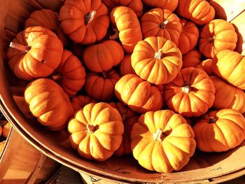 Close-up of pumpkin in basket at market