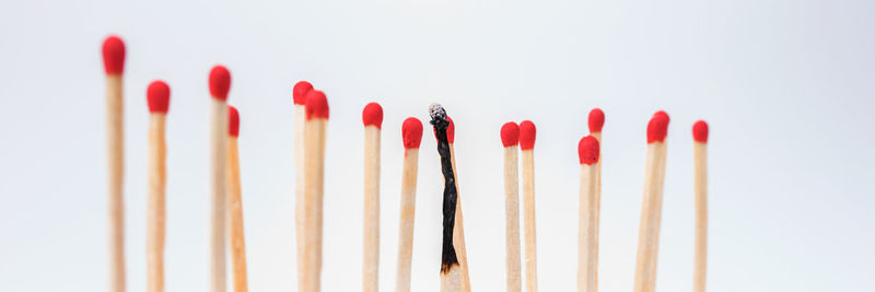 Close-up of colored pencils against white background