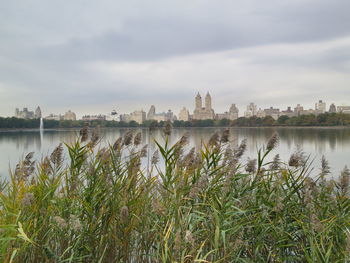 River in front of city against sky