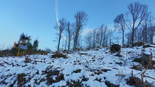 Bare trees against clear sky during winter