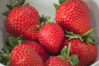 Close-up of strawberries