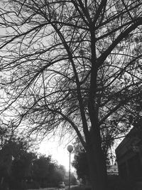 Low angle view of street light against sky