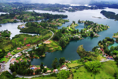 High angle view of bay and trees