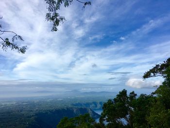 Scenic view of tree against sky