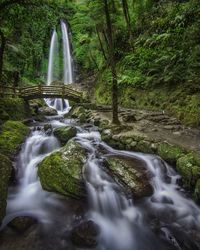 Scenic view of waterfall in forest