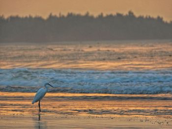 Scenic view of sea against sky at sunset