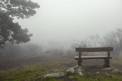 Bench in park against sky