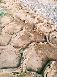 High angle view of rock on land