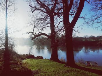 Trees by lake against sky