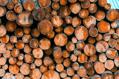 Full frame shot of logs in forest