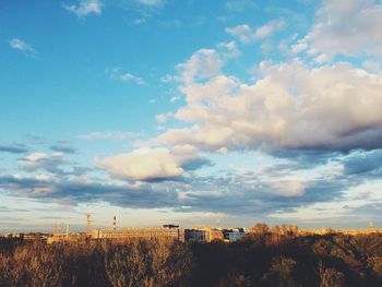 Trees against sky