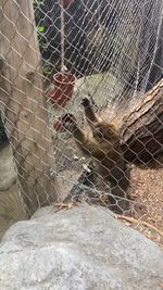 zoo