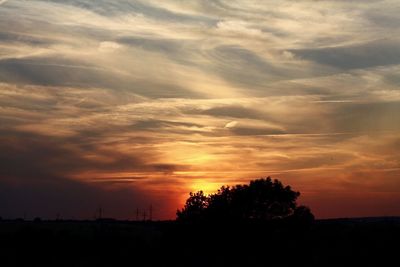 Silhouette of trees at sunset