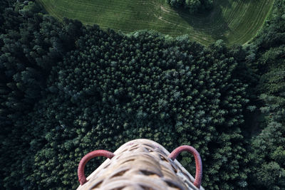 Photo was taken while ballooning, trees from above.