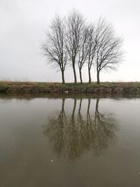 Bare tree by lake against sky