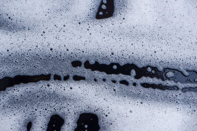 Low section of person standing in water