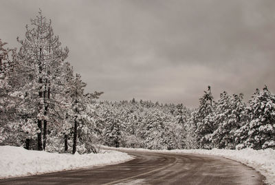 Snow covered road amidst trees against sky during winter