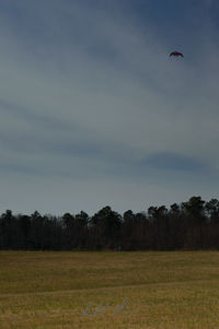 Birds flying over farm against sky