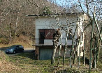 House by bare trees and building