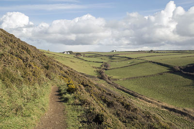 Scenic view of agricultural field against sky