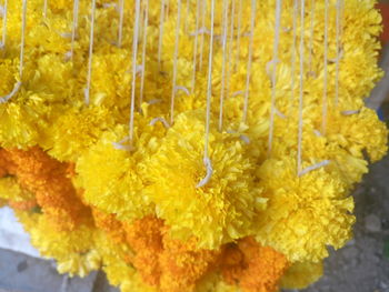 Close-up of marigold garlands hanging at market