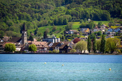 Scenic view of sea and buildings against trees