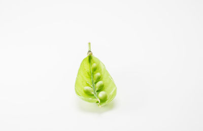 Close-up of green pepper against white background