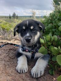 Fallon's 1st hike