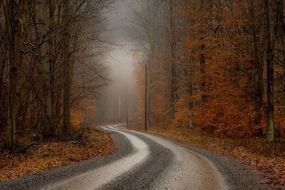 Road amidst trees in forest during autumn