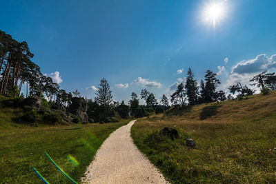 Road amidst trees on field against sky
