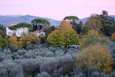Panoramic view of trees and buildings against sky