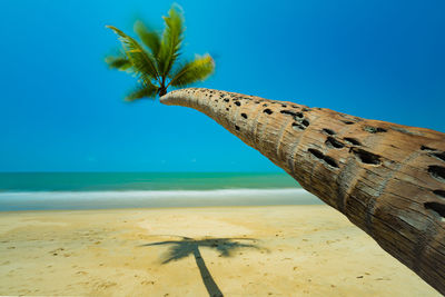 Close-up of beach against clear blue sky