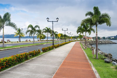 Road by palm trees against sky