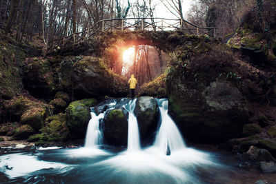 View of waterfall against trees