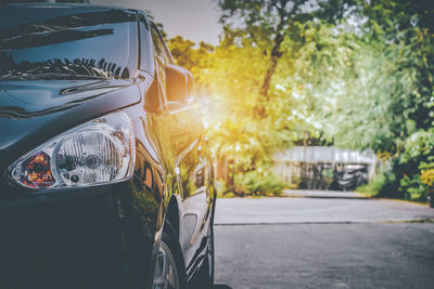 Close-up of car on tree