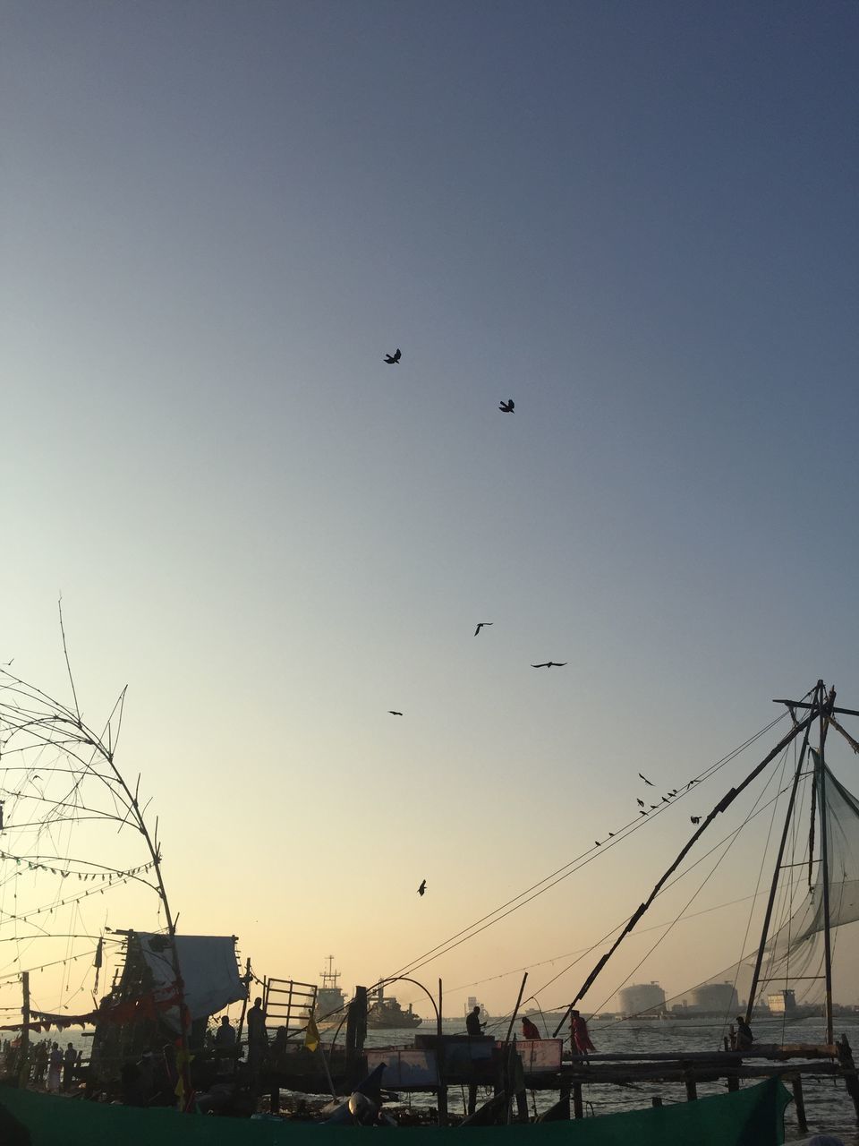 LOW ANGLE VIEW OF BIRDS FLYING AGAINST CLEAR SKY