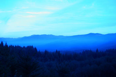 Scenic view of trees and mountains against sky