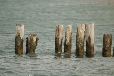 water