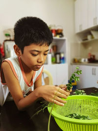 Boy holding leaves at home