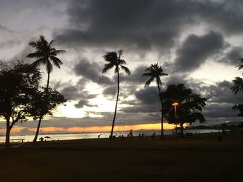 Silhouette of palm trees at sunset