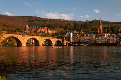 Panoramic view of heidelberg old town with castle ruins