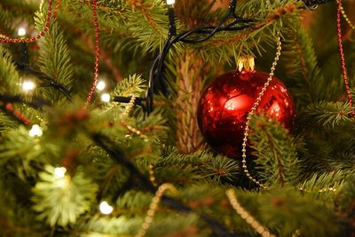 Close-up of illuminated fairy lights and christmas ball on tree