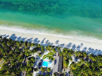 High angle view of trees by sea