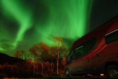 Car on illuminated tree against sky at night