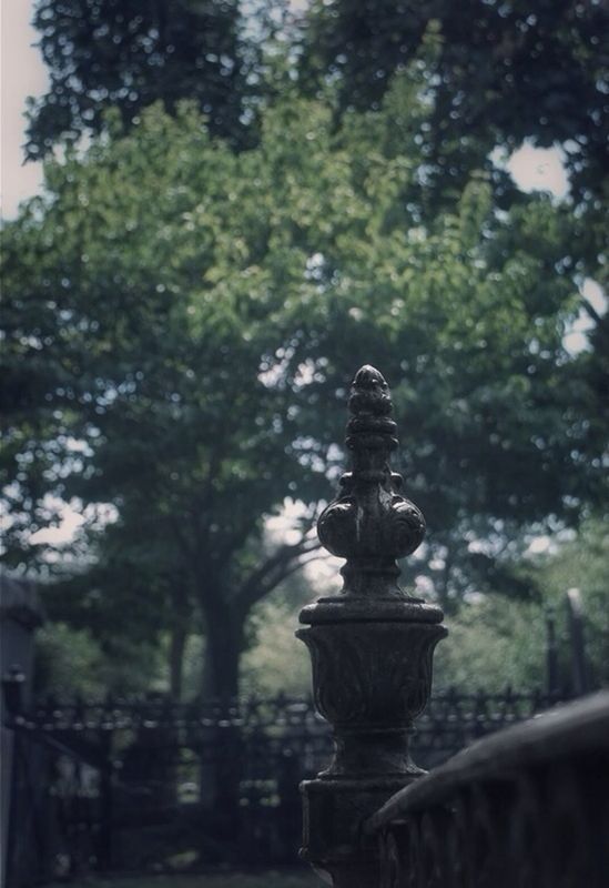 tree, human representation, focus on foreground, statue, sculpture, art and craft, art, low angle view, creativity, selective focus, day, close-up, outdoors, nature, growth, no people, park - man made space, railing, animal representation